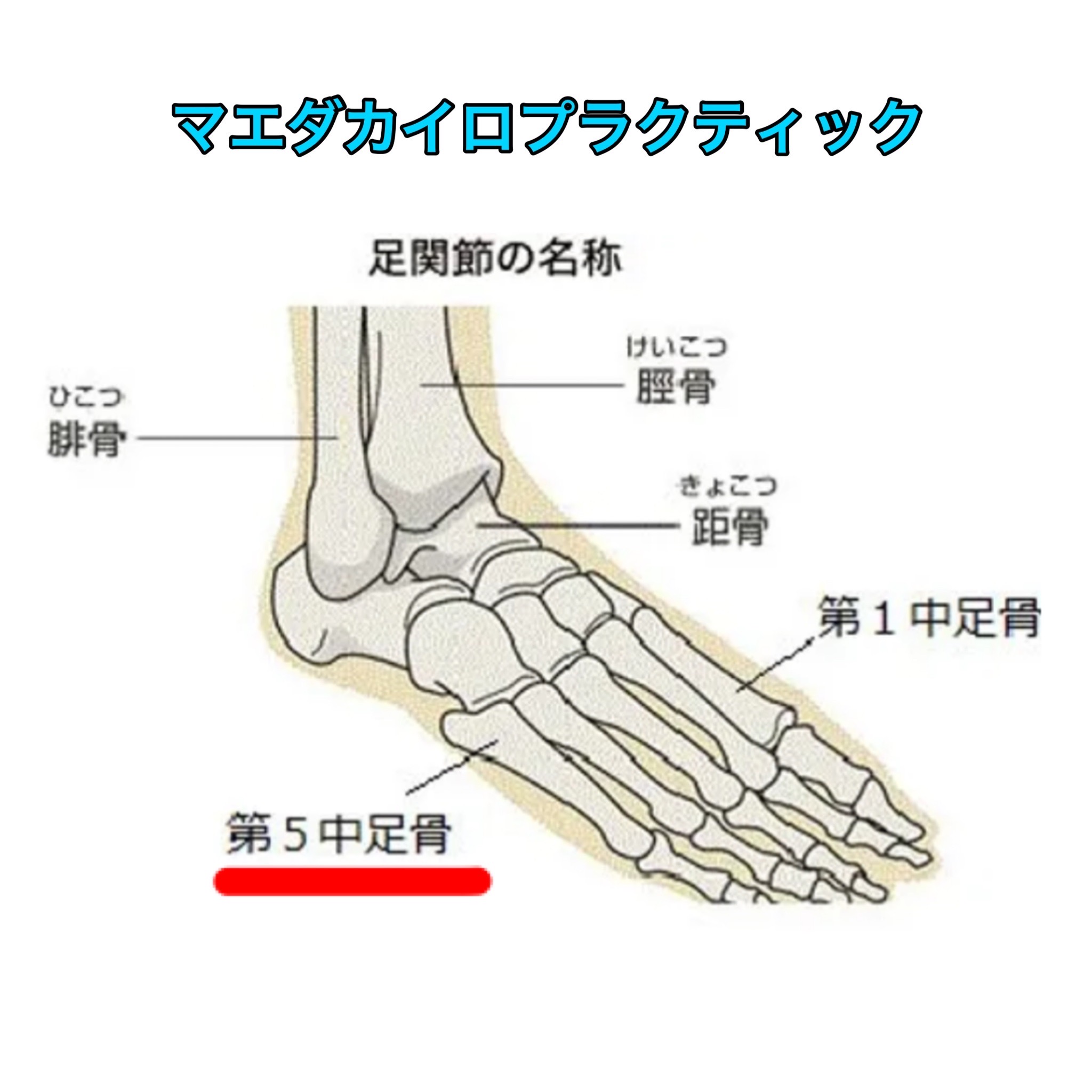 マエダカイロプラクティック.jpeg